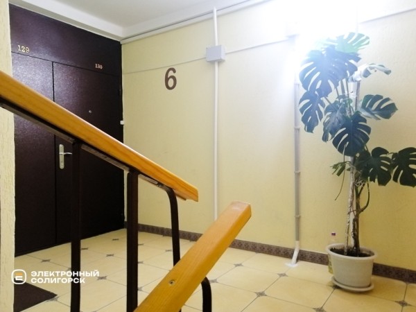 «Не хотели жить в свинарнике». Как солигорчане превратили убитый подъезд в элитный «Не хотели жить в свинарнике». Как солигорчане превратили убитый подъезд в элитный