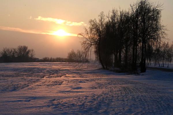 Страсти по райпо: есть ли у магазинов Белкоопсоюза шанс на новую жизнь Страсти по райпо: есть ли у магазинов Белкоопсоюза шанс на новую жизнь