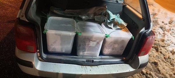 Красную икру решили проверить по дороге из-под Смоленска в Беларусь. Пришлось все уничтожить Красную икру решили проверить по дороге из-под Смоленска в Беларусь. Пришлось все уничтожить