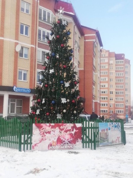 Где будут установлены новогодние елки в Бресте? Список мест Где будут установлены новогодние елки в Бресте? Список мест