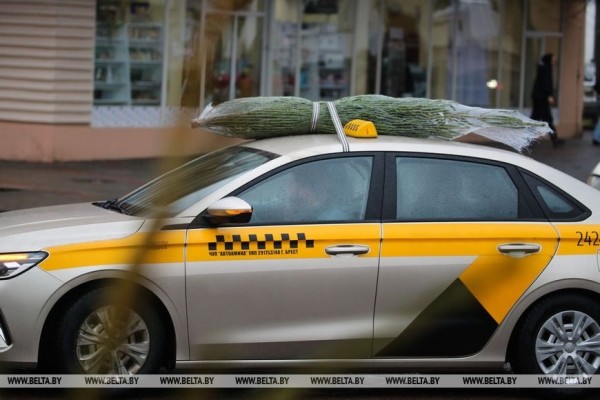 В Бресте заработали елочные базары