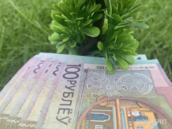 Зарплаты до 3500 рублей. Какие вакансии предлагают белорусам для работы без высшего образования? Зарплаты до 3500 рублей. Какие вакансии предлагают белорусам для работы без высшего образования?