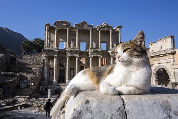 Пять необычных вариантов отдыха за границей, для которых белорусам не нужен «шенген»