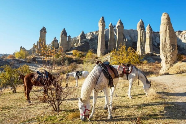 Пять необычных вариантов отдыха за границей, для которых белорусам не нужен «шенген»