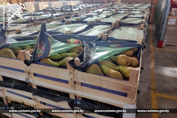Почти 64 тонны груш пытались незаконно провезти через российско-белорусскую границу
