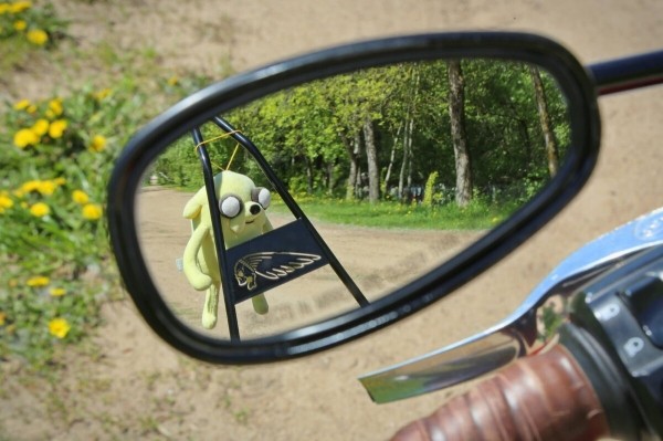 Белорус пригнал байк из Америки и честно рассказал о затратах Белорус пригнал байк из Америки и честно рассказал о затратах