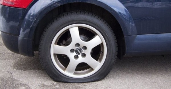 В Гомеле суд оштрафовал соседа, обмазавшего чужое авто фекалиями кота В Гомеле суд оштрафовал соседа, обмазавшего чужое авто фекалиями кота