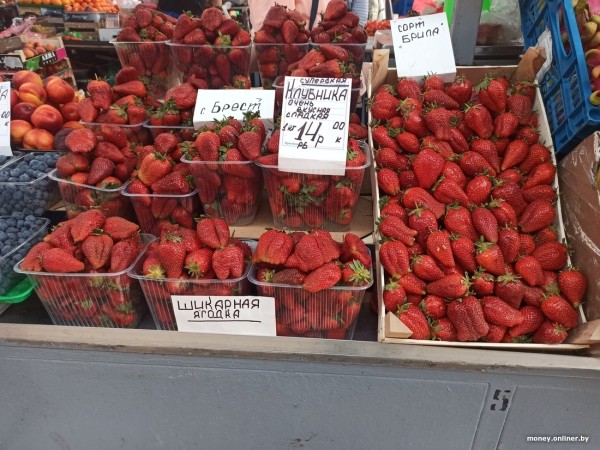 Брестская клубника на Комаровке в Минске. Что по цене? Брестская клубника на Комаровке в Минске. Что по цене?