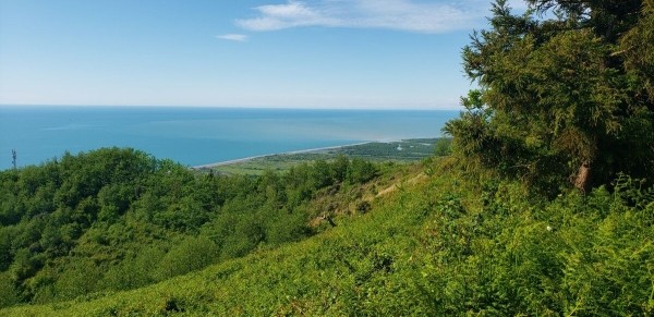 В Грузию на Buick Encore. Семья из Беларуси проехала 6 600 км — во сколько обошлось такое путешествие? В Грузию на Buick Encore. Семья из Беларуси проехала 6 600 км — во сколько обошлось такое путешествие?