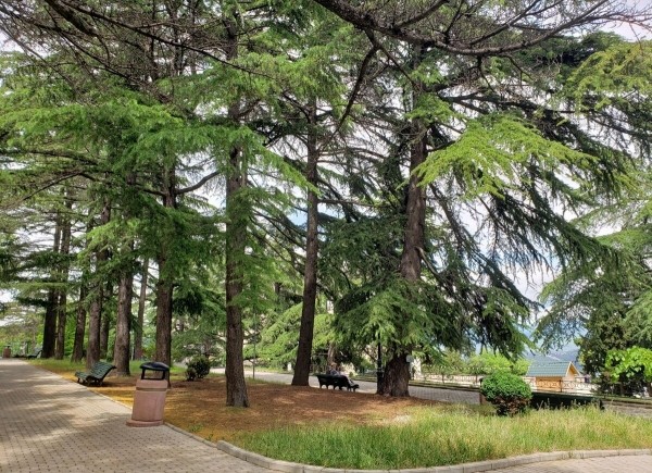 В Грузию на Buick Encore. Семья из Беларуси проехала 6 600 км — во сколько обошлось такое путешествие? В Грузию на Buick Encore. Семья из Беларуси проехала 6 600 км — во сколько обошлось такое путешествие?