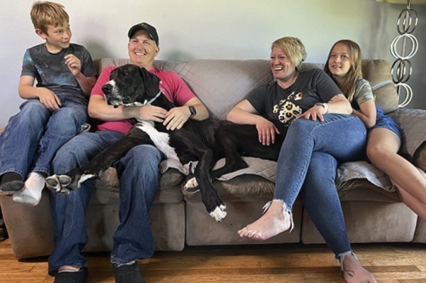 Умер самый крупный пес в мире. Он установил рекорд всего за несколько дней до смерти Умер самый крупный пес в мире. Он установил рекорд всего за несколько дней до смерти