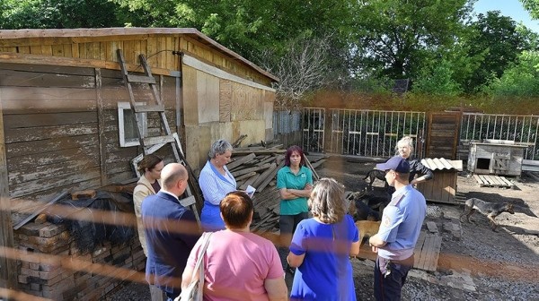 В Гомеле из-за лая собак не спит целая многоэтажка. Что говорит закон? В Гомеле из-за лая собак не спит целая многоэтажка. Что говорит закон?