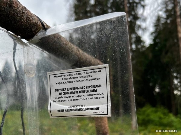 Белорус нашел в лесу странное приспособление. Угадаете, что это? Белорус нашел в лесу странное приспособление. Угадаете, что это?