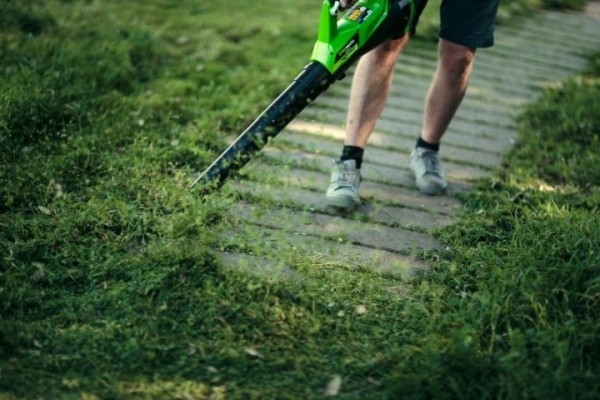 Чистота на даче – покой в душе: какой воздуходув выбрать