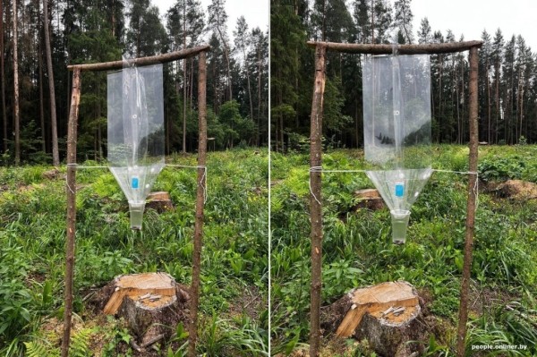 Белорус нашел в лесу странное приспособление. Угадаете, что это? Белорус нашел в лесу странное приспособление. Угадаете, что это?