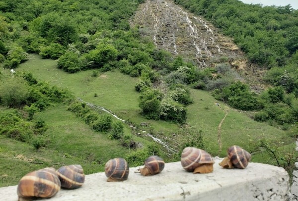 В Грузию на Buick Encore. Семья из Беларуси проехала 6 600 км — во сколько обошлось такое путешествие? В Грузию на Buick Encore. Семья из Беларуси проехала 6 600 км — во сколько обошлось такое путешествие?