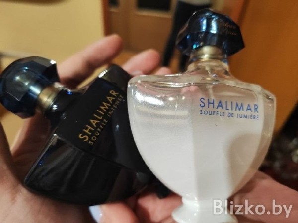 Белоруска ушла в парфюмерный «запой» и собрала коллекцию духов из 350 флаконов. Как ей удалось это сделать Белоруска ушла в парфюмерный «запой» и собрала коллекцию духов из 350 флаконов. Как ей удалось это сделать