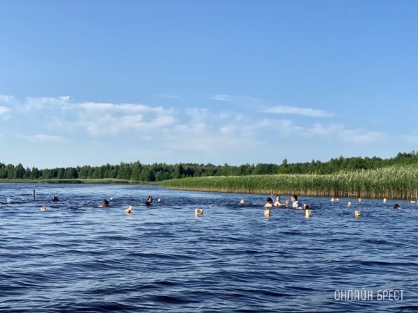 В МВД напомнили о запрете посещения пляжей детьми без сопровождения взрослых В МВД напомнили о запрете посещения пляжей детьми без сопровождения взрослых