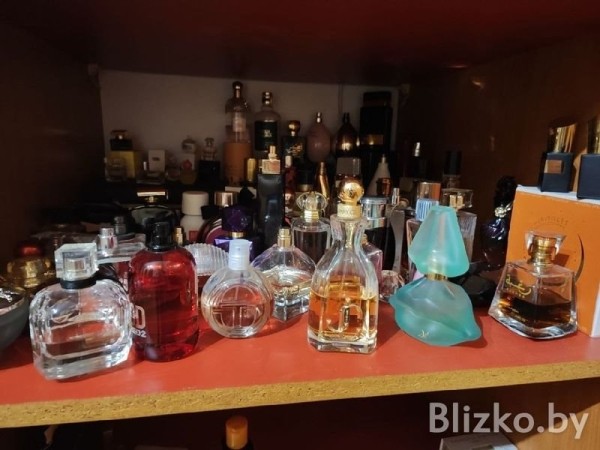 Белоруска ушла в парфюмерный «запой» и собрала коллекцию духов из 350 флаконов. Как ей удалось это сделать Белоруска ушла в парфюмерный «запой» и собрала коллекцию духов из 350 флаконов. Как ей удалось это сделать