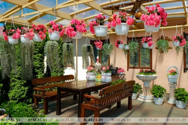 Супруги из Березы показали свой сад Супруги из Березы показали свой сад