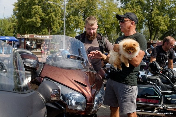В Бресте прошел байк-фестиваль Brest Motor Music Weekend. Фоторепортаж В Бресте прошел байк-фестиваль Brest Motor Music Weekend. Фоторепортаж