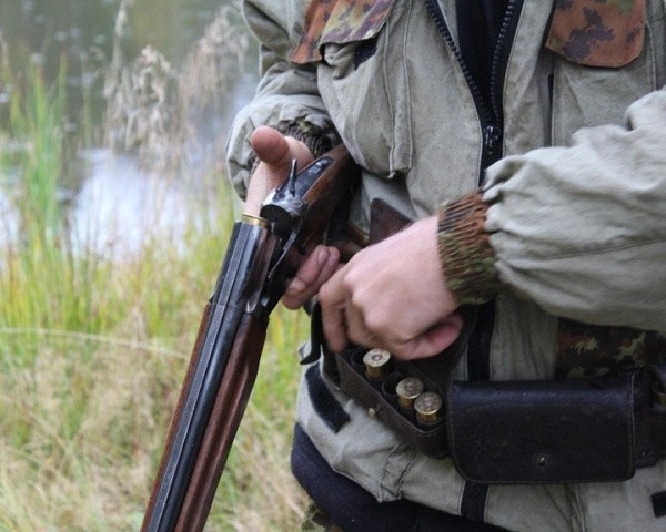 Сколько стоит охота в Беларуси? Рассказали в Госинспекции Сколько стоит охота в Беларуси? Рассказали в Госинспекции