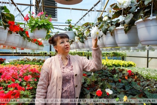 Супруги из Березы показали свой сад Супруги из Березы показали свой сад