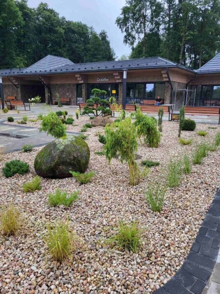 Беловежская пуща преображается