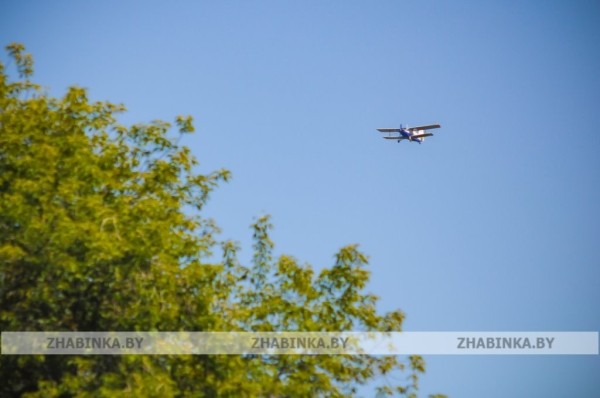 День города Жабинки: жители и гости города-спутника окунулись в праздничную атмосферу День города Жабинки: жители и гости города-спутника окунулись в праздничную атмосферу