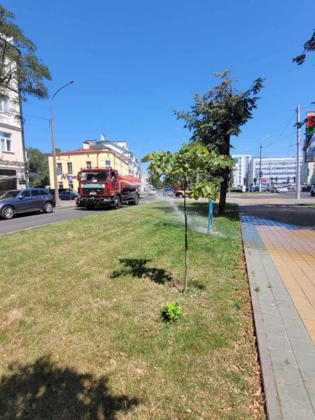 В Брест пришла жара. Городские службы помогают пережить зной В Брест пришла жара. Городские службы помогают пережить зной