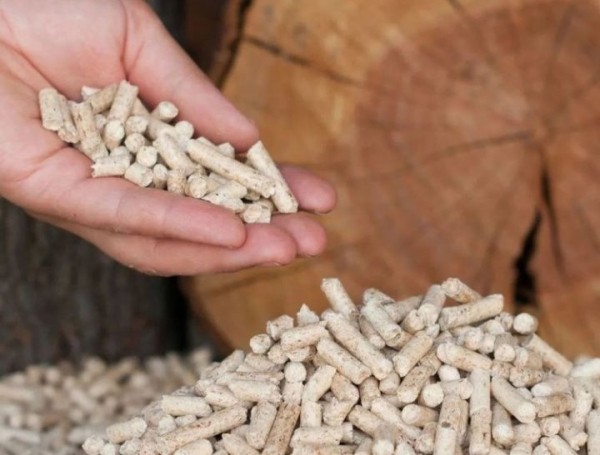 Можно неделю не подбрасывать в котел? В Брестском ГПЛХО рассказали о преимуществах отопления пеллетами Можно неделю не подбрасывать в котел? В Брестском ГПЛХО рассказали о преимуществах отопления пеллетами