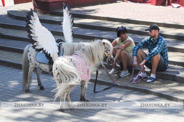 День города Жабинки: жители и гости города-спутника окунулись в праздничную атмосферу День города Жабинки: жители и гости города-спутника окунулись в праздничную атмосферу