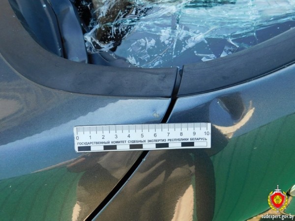 Рабочий из мести повредил бензотриммером автомобиль начальника. Ущерб оценили брестские эксперты Рабочий из мести повредил бензотриммером автомобиль начальника. Ущерб оценили брестские эксперты