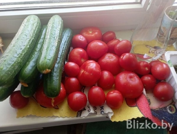 «Я ненавидел свое жирное тело». Белорус рассказал, как похудел на 50 килограммов и кардинально поменял свою жизнь «Я ненавидел свое жирное тело». Белорус рассказал, как похудел на 50 килограммов и кардинально поменял свою жизнь