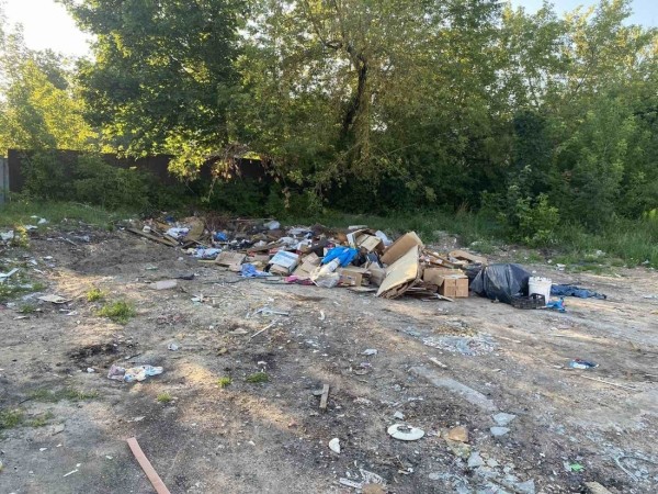 Район Борисова атакуют гадюки. Жильцы спасаются своими силами