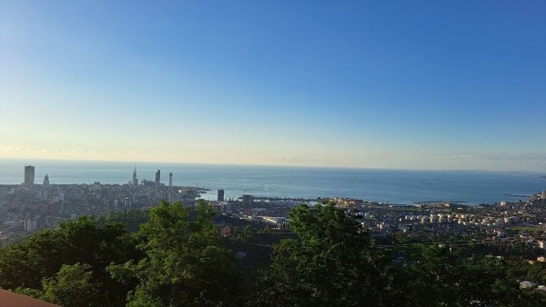 «Успели сходить пешком в Турцию». Белорусы рассказали, как съездили в Грузию «Успели сходить пешком в Турцию». Белорусы рассказали, как съездили в Грузию