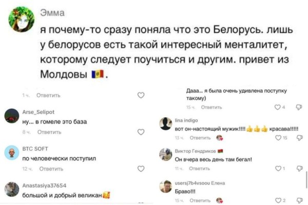 Водитель из Гомеля спас голубя из под колес - посмотрите видео Водитель из Гомеля спас голубя из под колес - посмотрите видео