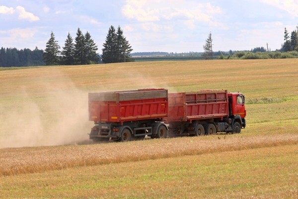 «У комбайнёров выходных нет!» Механизатор о работе на комбайне за 1,8 млн BYN «У комбайнёров выходных нет!» Механизатор о работе на комбайне за 1,8 млн BYN