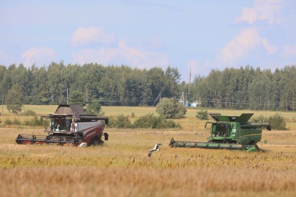 «Вам ни один комбайнёр правды не скажет!» Поговорили с водителем о комбайне за 400 тыс. долларов «Вам ни один комбайнёр правды не скажет!» Поговорили с водителем о комбайне за 400 тыс. долларов