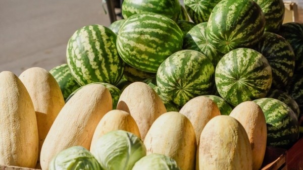 Что полезнее дыня или арбуз? Ответил эксперт Что полезнее дыня или арбуз? Ответил эксперт