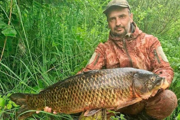 В Беларуси рыбак поймал огромного сазана В Беларуси рыбак поймал огромного сазана