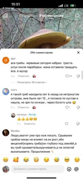 Боровик шире головы: сенсация из белорусских лесов в TikTok Боровик шире головы: сенсация из белорусских лесов в TikTok