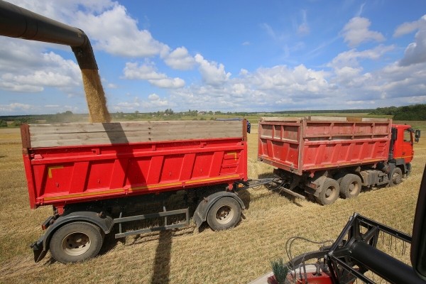 «Вам ни один комбайнёр правды не скажет!» Поговорили с водителем о комбайне за 400 тыс. долларов «Вам ни один комбайнёр правды не скажет!» Поговорили с водителем о комбайне за 400 тыс. долларов