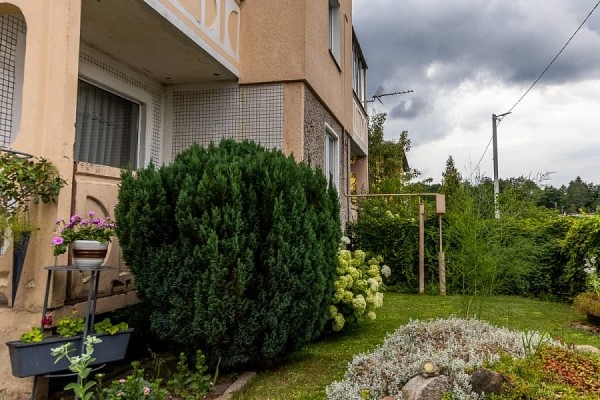 Как живет белорусское приграничье после закрытия пунктов пропуска Литвой и Польшей Как живет белорусское приграничье после закрытия пунктов пропуска Литвой и Польшей