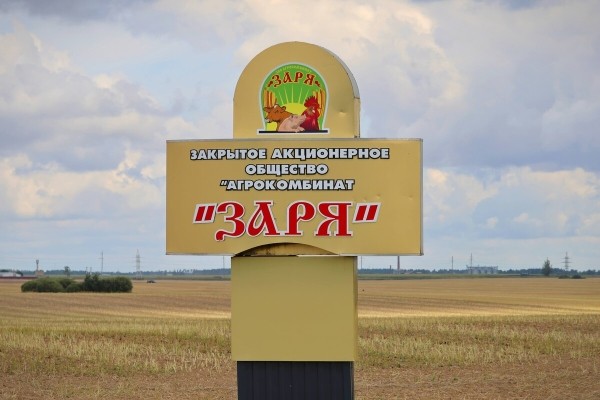 «Вам ни один комбайнёр правды не скажет!» Поговорили с водителем о комбайне за 400 тыс. долларов «Вам ни один комбайнёр правды не скажет!» Поговорили с водителем о комбайне за 400 тыс. долларов