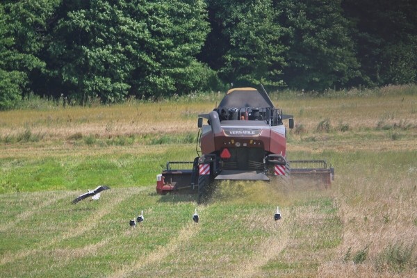 «Вам ни один комбайнёр правды не скажет!» Поговорили с водителем о комбайне за 400 тыс. долларов «Вам ни один комбайнёр правды не скажет!» Поговорили с водителем о комбайне за 400 тыс. долларов