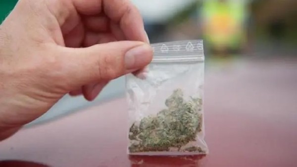 Беларусь отпустила латвийцев, задержанных по подозрению в провозе марихуаны Беларусь отпустила латвийцев, задержанных по подозрению в провозе марихуаны