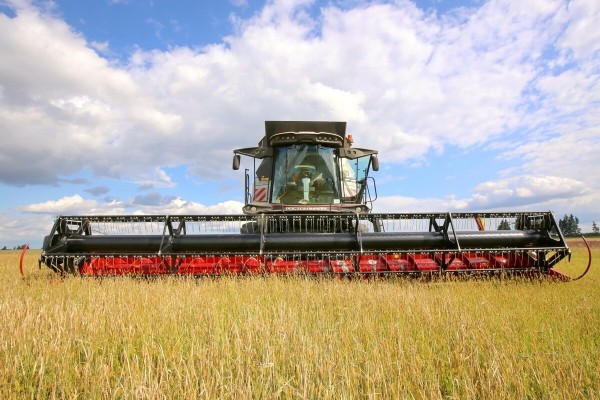 «У комбайнёров выходных нет!» Механизатор о работе на комбайне за 1,8 млн BYN «У комбайнёров выходных нет!» Механизатор о работе на комбайне за 1,8 млн BYN