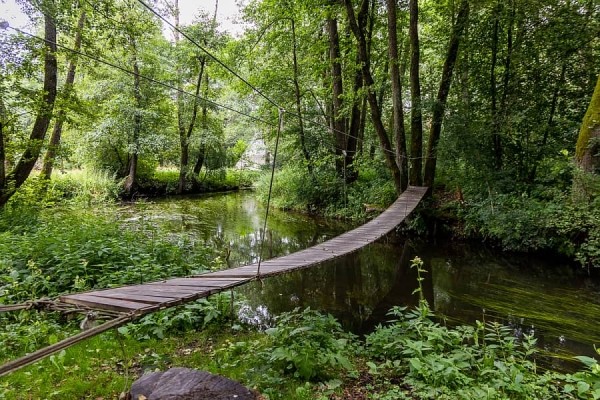 Как живет белорусское приграничье после закрытия пунктов пропуска Литвой и Польшей Как живет белорусское приграничье после закрытия пунктов пропуска Литвой и Польшей