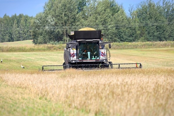 «У комбайнёров выходных нет!» Механизатор о работе на комбайне за 1,8 млн BYN «У комбайнёров выходных нет!» Механизатор о работе на комбайне за 1,8 млн BYN